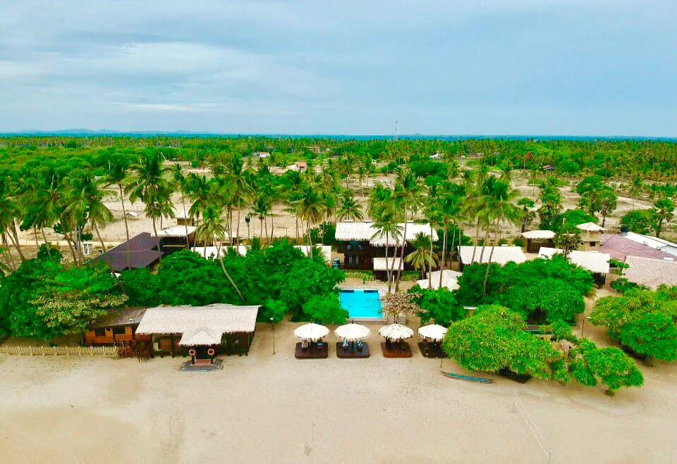 The resort from the air: the pool, beach umbrellas and thatched roofs among the palms beside the sand