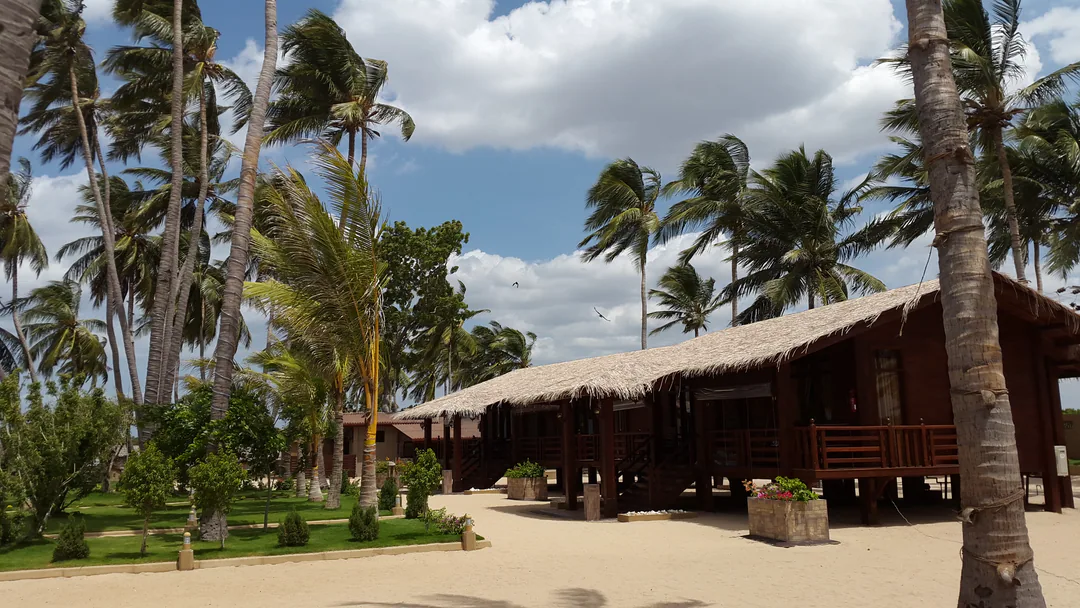 A thatched timber cabana on raised posts beneath tall coconut palms bending in the wind, with sand paths and a green lawn