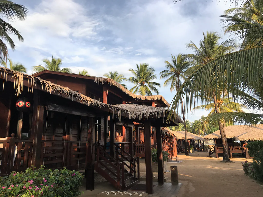 A row of thatched timber cabanas with steps up to their verandas, along a sandy path between coconut palms