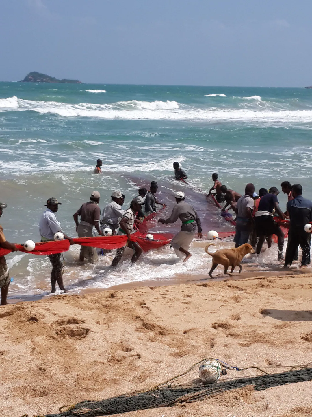 Fishermen hauling a red net in from the surf by hand on Nilaveli beach, with a dog running beside them