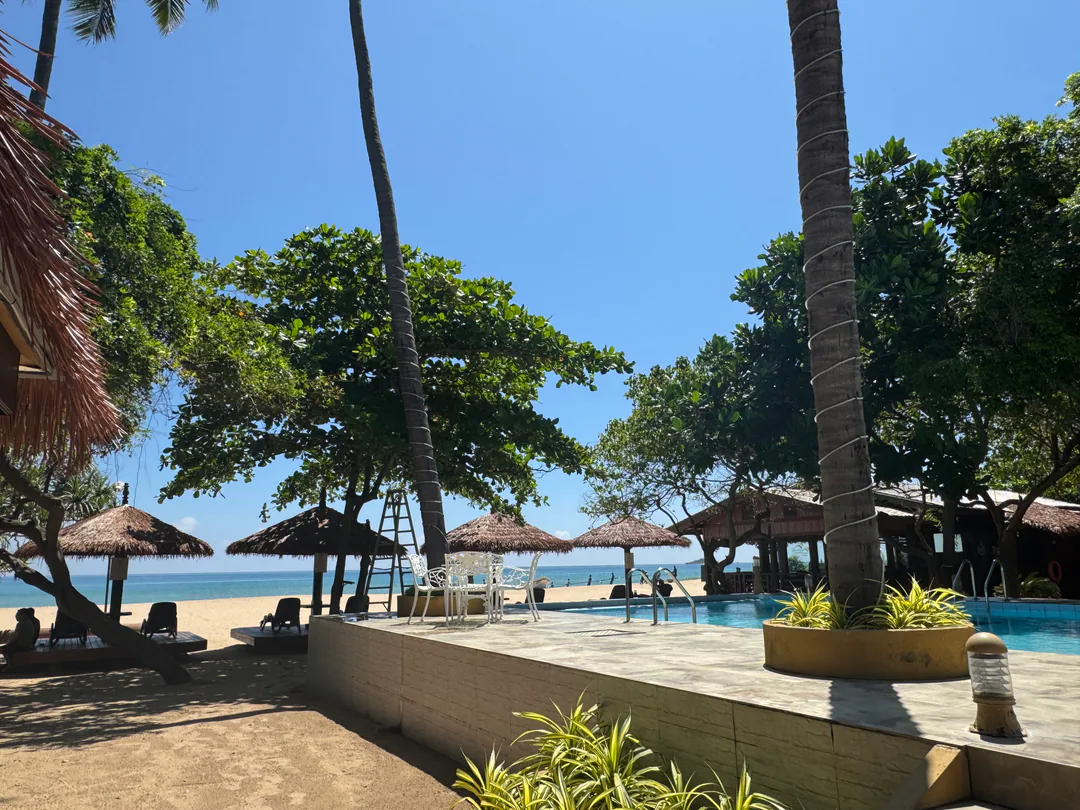 The pool deck with white garden chairs, palms and thatched shades on the beach beyond