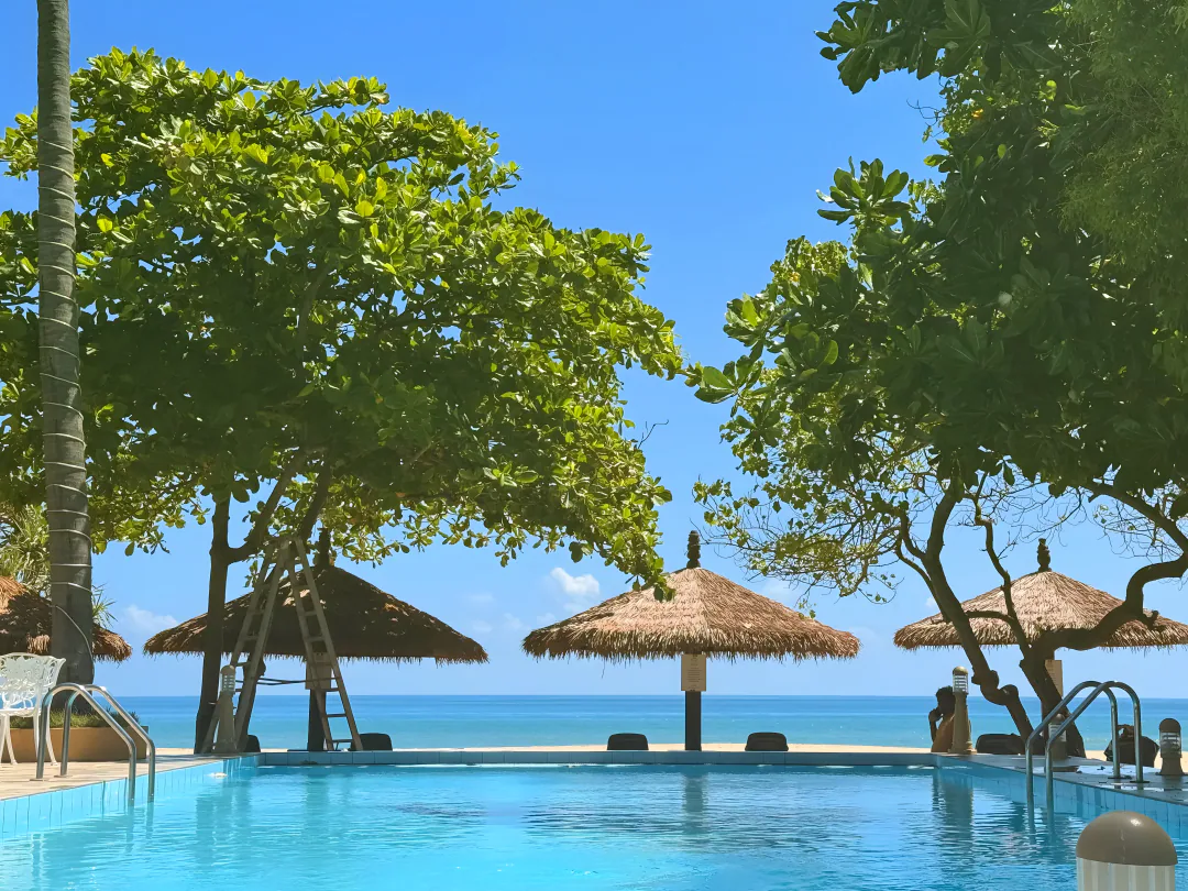 The blue-tiled pool facing the sea, with thatched beach shades and leafy trees