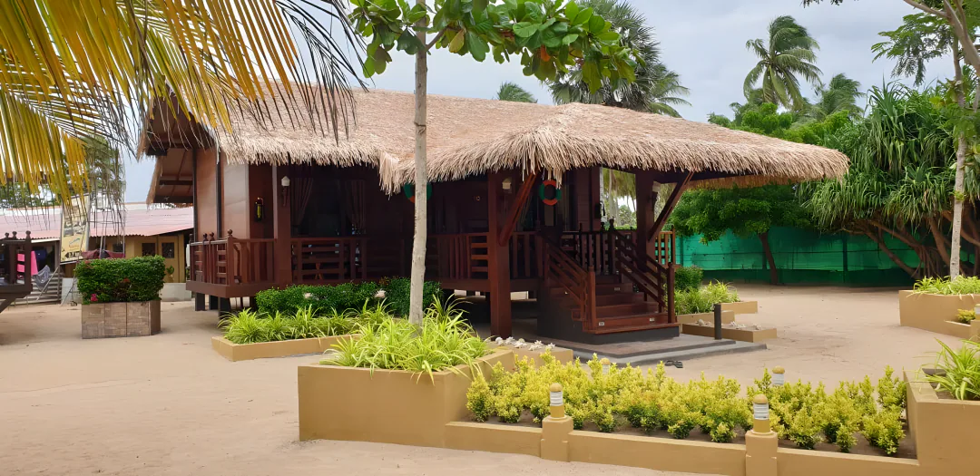 A timber cabana with a thatched roof, a raised veranda, planted beds and the green boundary fence