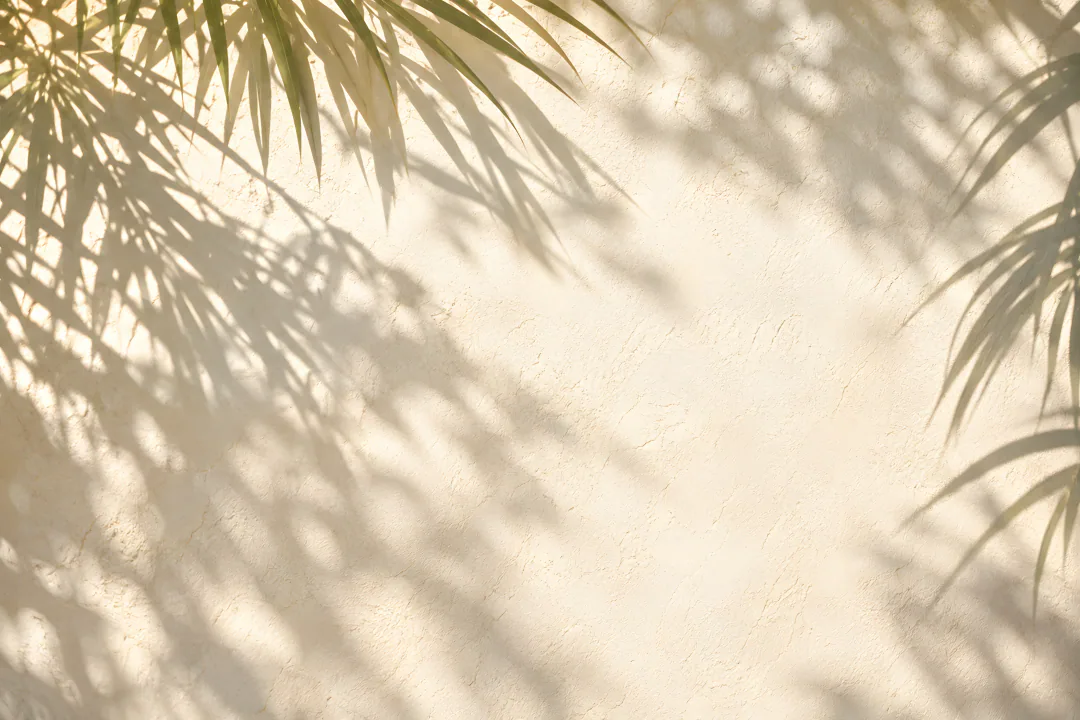 Palm-frond shadows on a warm cream wall