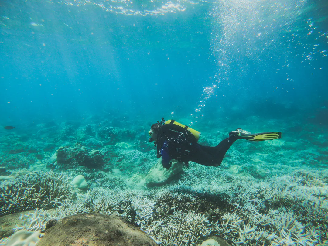 A scuba diver above coral at Pigeon Island National Park, Sri Lanka